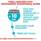 Sucha karma dla kotów Royal Canin Urinary Care 2 kg (3182550842938) (1800020) - obraz 3