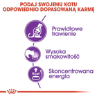 Sucha karma dla kotów Royal Canin Sensible 400 g (3182550702263) (2521004) - obraz 3