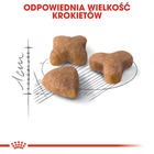 Sucha karma dla kotów Royal Canin Sensible 400 g (3182550702263) (2521004) - obraz 4