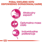 Sucha karma dla kotów Royal Canin Exigent Aromatic 400 g (3182550767262) (2543004) - obraz 2