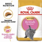 Sucha karma dla kociąt Royal Canin Kitten British Shorthair 2 kg (3182550816533) (2566020) - obraz 2