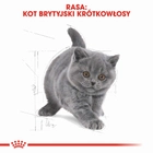 Sucha karma dla kociąt Royal Canin Kitten British Shorthair 2 kg (3182550816533) (2566020) - obraz 6