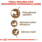 Сухий корм для кішок похилого віку ROYAL CANIN Aging 12+ 400г (3182550786201) (2561004) - зображення 4