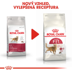 Сухой корм для домашніх та вуличних кішок Royal Canin Fit 400 г (3182550702157) (2520004) - зображення 8