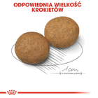 Karma sucha dla dorosłych psów ras średnich Royal Canin Medium Adult powyżej 12 miesięcy 15 kg (3004150/11422) (3182550402217/0262558402211) - obraz 5