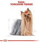 Sucha karma dla dorosłych psów Royal Canin Yorkshire Terrier Adult 3 kg (3182550799768) (3051030) - obraz 3