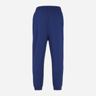Spodnie dresowe męskie Fila FAM0153-50016 L Niebieskie (4064556289612) - obraz 6