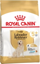 Сухий корм для дорослих собак Royal Canin Labrador Retriever 5+ 12 кг (3182550908412) (1339120) - зображення 1