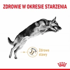 Sucha karma dla dorosłych psów Royal Canin Owczarek Niemiecki 5+ 12 kg (3182550908399) (1340120) - obraz 3