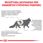 Сухой корм для дорослих кішок Royal Canin Urinary S/O Cat 1.5 кг (3182550711159) (39010151) - зображення 10