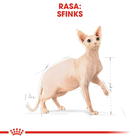 Сухой корм для дорослих кішок Royal Canin Sphynx Adult 2 кг (3182550758840) (2556020) - зображення 3