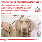 Mokra karma dla dorosłych psów Royal Canin Diabetic Special Lc Dog Cans 0,41 kg (9003579307298) - obraz 5