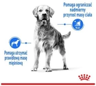 Sucha karma dla psa Royal Canin Medium Light Weight Care 3 kg (3182550852319) (30210301) - obraz 4