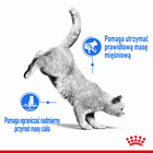 Вологий корм для дорослих котів Royal Canin Light Weight Care шматочки в соусі 85 г (9003579308769) - зображення 3