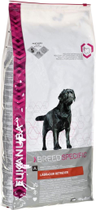 Sucha karma dla psów Eukanuba Adult Labrador Retriever 12 kg (8710255121819) - obraz 1