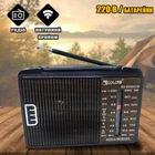 Радиоприёмник портативный Golon 3W-608 FM радио от сети 220В или батареек Коричневый