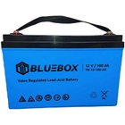 Акумулятор BlueBox AGM 12V 100Ah VRLA (5904496564051) - изображение 4