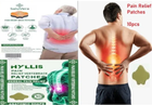 Пластырь для снятия боли в спине с экстрактом полыни Hyllis Relief neck Patches 10 шт (2566) - изображение 4
