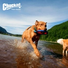 Іграшка Chuckit! ZIPFLIGHT літаючий диск для собак середніх розмірів (DLPCHKZAB0006) - зображення 3