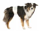 Памперси для собак (кобелів) Trixie 23641 30-46 см 12 шт (4011905236414) - зображення 2