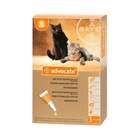 Піпетка-краплі Bayer Advocate для котів вагою до 4 кг 1 піпетка