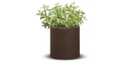 Горщик для квітів Keter Cylinder Planter S Коричневий (7290103664183)