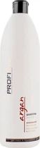 Зволожуючий шампунь з аргановою олією Profi Style Argan Shampoo