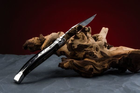 Ніж кишеньковий Fontenille Pataud, Laguiole Traditional, ручка з рогу буйвола (L12BB) - зображення 5