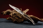 Нож карманный Fontenille Pataud, Laguiole Traditional, ручка из рога оленя (L12BC) - изображение 1