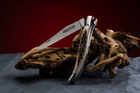Нож карманный Fontenille Pataud, Laguiole Traditional, ручка из рога оленя (L12BC) - изображение 3