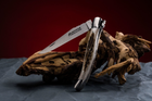 Нож карманный Fontenille Pataud, Laguiole Traditional, ручка из рога оленя (L12BC) - изображение 4