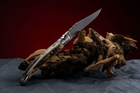 Нож карманный Fontenille Pataud, Laguiole Traditional, ручка из рога оленя (L12BC) - изображение 7