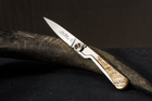 Ніж кишеньковий Claude Dozorme, Corsica Liner Lock, ручка з роги барана (1.92.142.37) - зображення 9