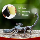 Пластир з отрутою скорпіона Дасецзи знеболюючий терапевтичний 8 штук - зображення 7