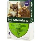Краплі від бліх Bayer Advantage 80 для котів понад 4 кг