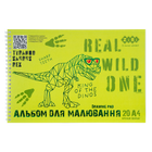Альбом для малювання DINO, А4, 20 аркушів, 120 г/м2, на пружині, салатовий, KIDS Line
