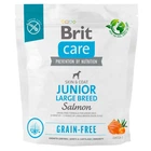 Корм для молодых собак больших пород Brit Care Dog Grain-free Junior Large Breed беззерновой с лососем