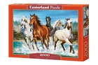 Пазли 2000 елементів Табун коней (З-200702), Castorland
