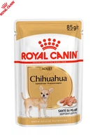 Упаковка повнораціонного вологого корму Royal Canin Chihuahua Adult