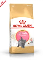 Сухой корм для кошек Royal Canin British Shorthair Kitten