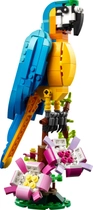Zestaw klocków LEGO Creator Egzotyczna papuga 253 elementy (31136) - obraz 2