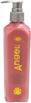 Шампунь для окрашенных волос "Защита цвета" Angel Professional Color Protect Shampoo 250ml (861978-788878-2)
