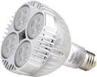 Светодиодная лампа Brille LED E27 35W CW PAR38 (32-077)