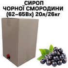 Сироп Eva Чорної Смородини 62-65Вх BAG IN BOX 20л/26кг