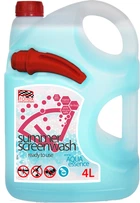 Омивач скла літній "Profex" AQUA essence 4 л (шт.)
