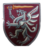 Шевроны "80 ОДШБр лев з мечем" с вышивкой - изображение 1