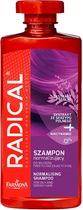 Шампунь для жирных волос Farmona Radical Normalising Shampoo For Oily Hair 400ml (833516-1160929-2)