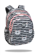 Рюкзак CoolPack Jerry CATNIP 21 л размер 39х28х15 см (F029695)