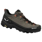 Кроссовки Salewa ALP Trainer 2 M 44 Коричневый (1054-013.001.5637)