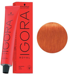 Фарба для волосся Schwarzkopf Igora Royal 0-77 60 ml (4045787198959) - зображення 1